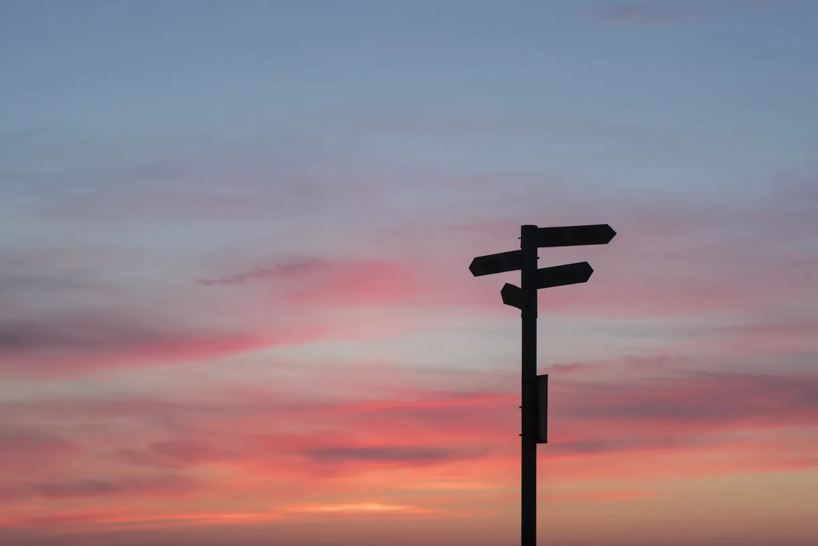 A signpost pointing in different directions, representing the choice between business models